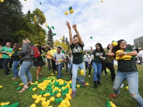 Around 350 alumni, students and staff took part in a giant sock fight using 4,030 pairs of socks at the University of Alberta on Friday Sept. 19, 2014.