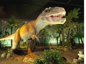 Feathered T. rex juvenile, part of the Dinosaurs Unearthed exhibit
