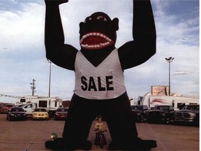 Fort Vermilion RCMP are on the hunt for a suspect or suspects involved in the theft of a giant inflated gorilla. An investigator said the blown-up ape disappeared from a car dealership in LaCrete sometime overnight on Aug. 28.