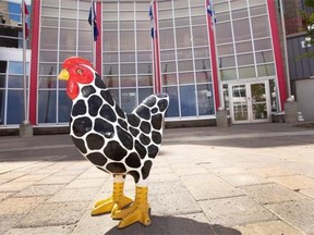 Henday the chicken in a #yegquest photo taken at La Cite Francophone.
