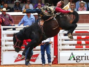 Jake Vold of Ponoka hangs on for a lead during the bareback championship at the Calgary Stampede on July 6, 2014.