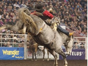 Jake Vold has a winning ride in the bareback riding competition on day three of the Canadian Finals Rodeo in Edmonton on Friday, Nov. 7, 2014.