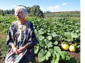 Jennie Visser, 90, gazes at Lady Flower Gardens in northeast Edmonton where volunteers were harvesting about 5,000 pounds of beets and carrots to be donated to the Edmonton Food Bank on Aug. 30, 2014.