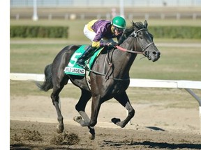 Jockey Scott Williams rides Wild Legend to a first-place finish in the first stake race at the Alberta Breeders’ Fall Classic held at Northlands Park Racetrack in Edmonton on Saturday, Sept. 20, 2014. The best Alberta-bred horses competed in seven stakes races with purse money totalling $350,000.