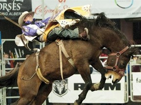 Matt Lait hangs on during the bareback riding competition on day two of the Canadian Finals Rodeo in Edmonton on November 6, 2014.