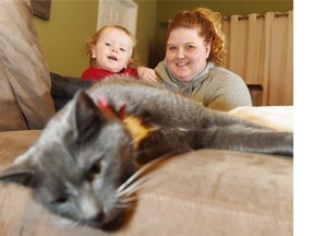 Meagan Martin’s cat Harmony survived a fire and more than four months living in the walls of a damaged condo complex in the Hamptons. She can’t believe she’s alive and back home with the family. Her son is Ryu Garlough. Shaughn Butts/Edmonton Journal