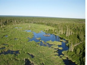 The Mikisew Cree First Nation is asking UNESCO to place Wood Buffalo National Park on its list of world heritage sites in danger due to growing threats from hydroelectric developments and oil and gas activities.