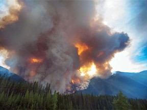 A huge forest fire burns on the west side of the Kootenay Highway, (Hwy 93 South), on August 22, 2013.