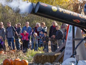 Kids watch the pumpkin cannon fire during the Haunted Pumpkin Festival at Prarie Gardens and Adventure Farm near Bon Acord, north of Edmonton on October 12, 2014.