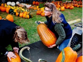 Pumpkins come in a glorious array of shapes, sizes and colours. Note the ghostly white variety in the background.