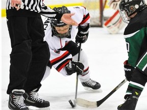 The referee drops the puck for atom AA teams SWAT Spitfires (white) and the Spruce Grove Saints playing in the Quikcard Edmonton Minor Hockey Week at the Terwillegar Community Recreation Centre in Edmonton, January 11, 2012.