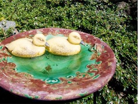 Refresh the water in your backyard bird bath often, to help keep mosquitoes at bay.