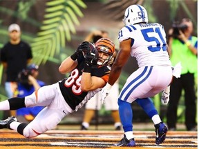 Ryan Hewitt of the Cincinnati Bengals catches a touchdown pass in front of Indianapolis Colts linebacker Henoc Muamba during an NFL pre-season game at Paul Brown Stadium in Cincinnati, Ohio, on Aug. 28, 2014.