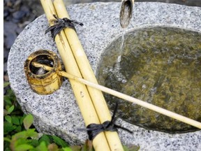 Small stone basins with bamboo channels create an area of interest in a Japanese-style garden and take up very little space.