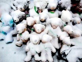Snow-covered stuffed animals with photos attached sit at a memorial in Newtown, Conn. erected after gunman Adam Lanza walked into Sandy Hook Elementary School on Dec. 14, 2012 and opened fire, killing 26, including 20 children, before killing himself.