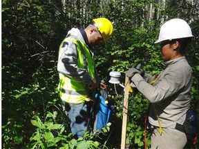 Student researchers from the University of Alberta install state-of-the-art wireless sensor networks in remote forests around the world to monitor high resolution photosynthesis and seasonal productivity trends to help track patterns in carbon dynamics near the Earth’s surface.