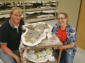Michael Burns and Victoria Arbour at the New Mexico Museum of Natural History & Science with the skull of Ziapelta sanjuanensis.