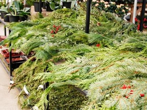 When choosing evergreen boughs for your mantel, give them a good shake and keep searching if they rain dry needles.