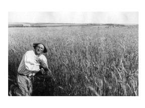 World Wheat King Herman Trelle with his award winning Alberta crop in 1928