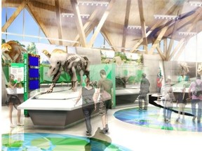 An artist’s rendering of an exhibit inside the Philip J. Currie Dinosaur Museum, to open in the fall of 2015.