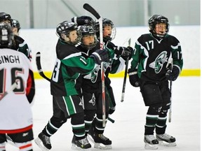 Atom AA teams the Spruce Grove Saints (green) celebrate their first goal against the SWAT Spitfires playing in the Quikcard Edmonton Minor Hockey Week at the Terwillegar Community Recreation Centre in Edmonton, January 11, 2012. The Saints ended up losing 5 to 1.