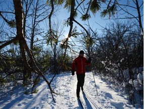 Attaining the peace and tranquillity of cross-country skiing can take some time and practice.