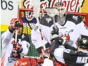 Calgary Roughnecks goalie Mike Poulin has his eye on the ball coming from Edmonton Rush’s Mark Matthews during exhibition game action at the Saddledome in Calgary, on Dec. 20, 2014.