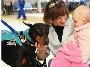 Connie Sawyer and granddaughter Charlotte Esch meet Kane on Dec. 11. The Edmonton International Airport is the only one in Canada that is employing pet therapy dogs to calm the frayed nerves of passengers