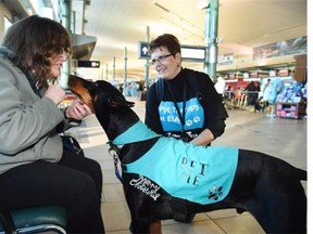 Joanne Sanford meets Kane and Barb Olmstead on Dec. 11, 2014. The Edmonton International Airport is the only one in Canada that is employing pet therapy dogs to calm the frayed nerves of passengers.