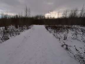 The trail where a 6-year-old girl was assaulted in the Paul First Nation on Dec. 20, 2014.