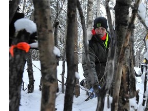 Trapper Gord Klassen uses a pen made of sticks to snare a lynx on his trapline. Inside the pen is bait to draw the cat to the entrance of the pen where the snare is set.