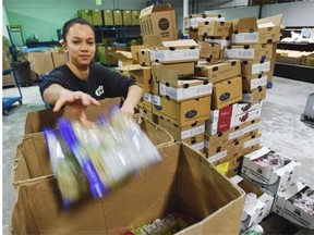 Volunteer Samantha Riemer packing food hampers with some of the food collected over a six week period during Christmas at the Edmonton Food Bank in Edmonton, January 8, 2015.