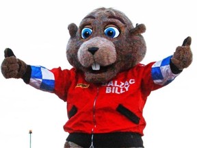 According to Globe and Mail analytics expert Gabe Pulver, Alberta’s groundhog, Balzac Billy, is Canada’s most accurate prognosticating rodent.