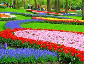 A dazzling array of tulips greets visitors to Amsterdam’s famed Keukenhof Gardens.