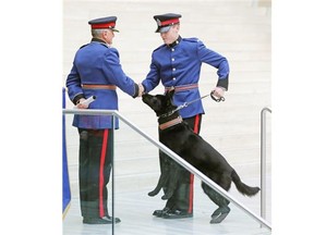 Edmonton Police Service Constable Wade Eastman and Police Service Dog “Evan” are congratulated by Edmonton Police Chief Rod Knecht (left) during the Edmonton Police Service graduation ceremony for Recruit Training Class 130 at Edmonton City Hall on Friday Feb. 13, 2015.