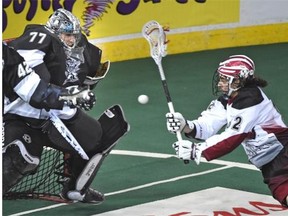 Edmonton Rush goalie Aaron Bold makes a save on Colorado Mammoth’s Joey Cupido in National Lacrosse League action at Rexall Place in Edmonton, February 15, 2015. The Rush won 13-7.