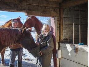Glenn and Patricia Mattson with their quarter horse Missy on their farm near Mayerthorpe. They say coyotes haven’t been much of a problem for them in the 40 years they have raised horses and cattle on their farm, although they did have a cat attacked by one once.