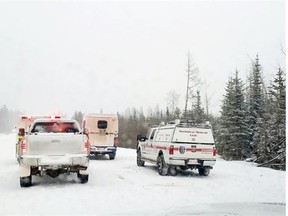 Two pipeline workers are recovering from non life-threatening injuries after being attacked by a cougar near Grande Prairie, Alta., on Friday, January 30, 2015.