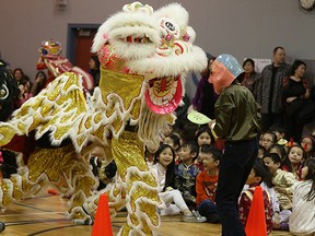 Lion dancers perform at a Chinese New Year celebration held at Meadowlark School in Edmonton on February 19, 2015, the first day in the Year of the Sheep on the Lunar calendar. Meadowlark School is a Chinese bilingual public school in Edmonton.