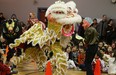 Lion dancers perform at a Chinese New Year celebration held at Meadowlark School in Edmonton on February 19, 2015, the first day in the Year of the Sheep on the Lunar calendar. Meadowlark School is a Chinese bilingual public school in Edmonton.