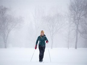 Reporter Otiena Ellwand battles harsh weather while training at Victoria Golf Course in preparation for the 31-kilometre race at the Canadian Birkebeiner Ski Festival on Saturday, Feb. 14.