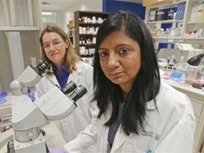 Researchers Priyanka Pundir (right) and Marianna Kulka have identified a single protein as the root cause for allergic reactions to drugs and injections.