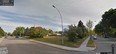 Mature apples trees on city land in Idylwylde that have since been cut. A semi-detached home is now underconstruction.