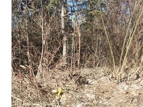 Area near Stadium LRT station where police were called after a body was discovered Tuesday