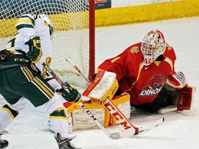 Calgary Dinos goalie Kris Lazaruk makes a save against University of Alberta Golden Bears Stephane Legault during Canada West men’s hockey final game action at the University of Alberta in Edmonton on March 5, 2015.