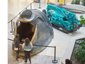 The famous whale sculpture at West Edmonton Mall finally has a new home after about five years in storage. It’s being reinstalled in Phase 1 near Sears.