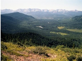 A hang-glider soars over the boreal forest near Hinton.