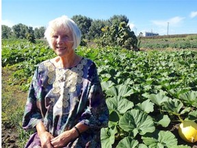 Jennie Visser looks at Lady Flower Gardens in northeast Edmonton where volunteers were harvesting about 5,000 pounds of beets and carrots to be donated to the Edmonton Food Bank on Aug. 30, 2014.