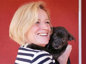 NDP Leader Rachel Notley, cuddling a puppy as she door knocks in Calgary on April 16, 2015, is presenting herself as the common-sense leader of a moderate party, writes Graham Thomson.