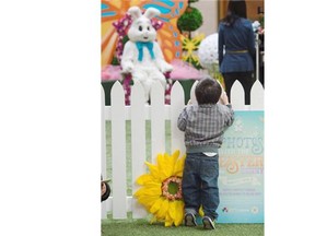 Lucas Chung, 2-1/2, tries to get a peek through the white picket fence while children get their photos taken with the Easter Bunny at West Edmonton Mall in Edmonton, April 5, 2015.